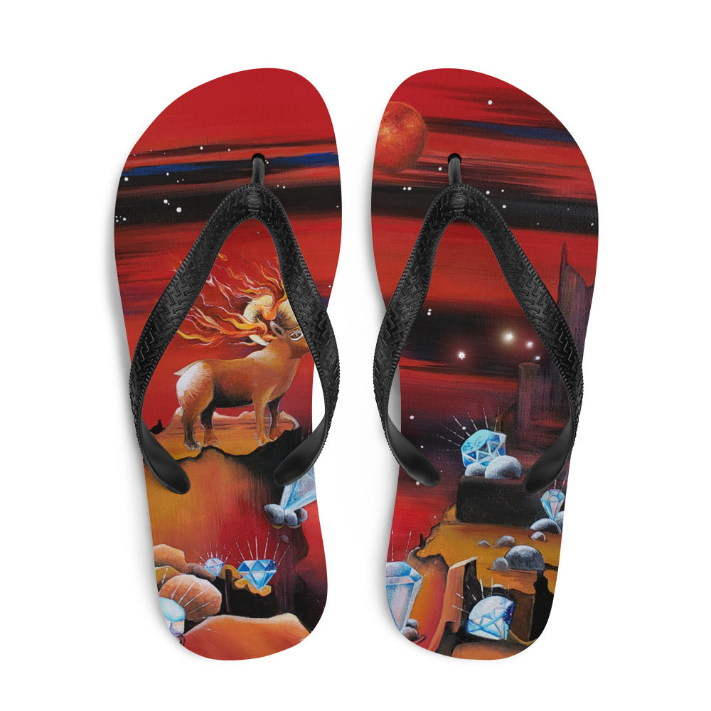 Aries Flip-Flops