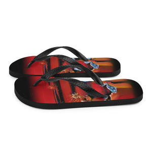 Aries Flip-Flops