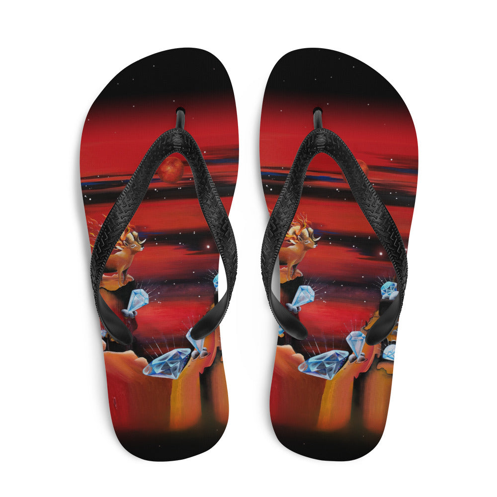 Aries Flip-Flops