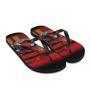 Aries Flip-Flops