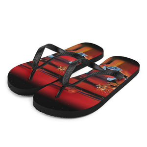 Aries Flip-Flops